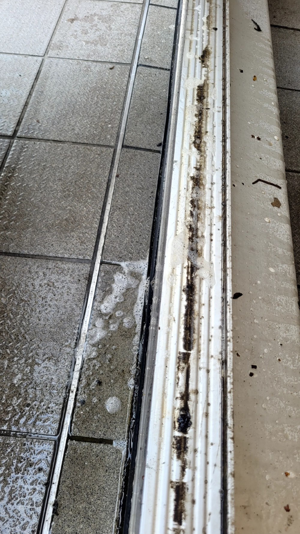 Left Image